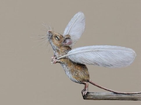 Devotion, Artist, Marcel Witte