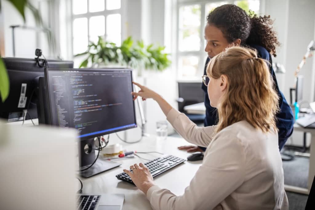 developers working on computer 1024x683 1